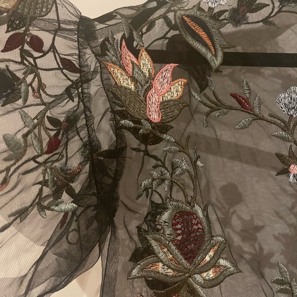 Zara Sheer Embroidered Top - Picture 4 of 6